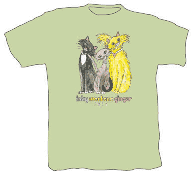 Front design of the LAPS shirt
